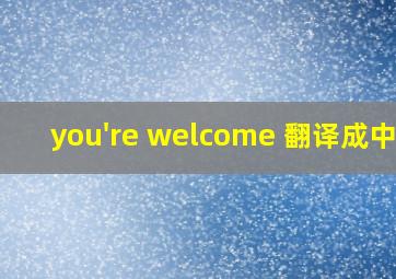 you're welcome 翻译成中文